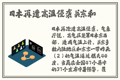 麻豆视频免费观看